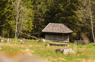 Grillplatz Schweinebhl (Todtnauberg)