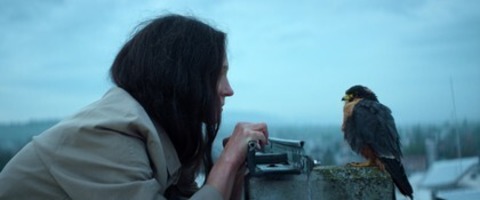 Chaos und Stille - Achern - 15.06.2025 20:00