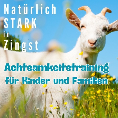 Natrlich Starke Familien - Tiergesttztes Achtsamkeits- und Kommunikationstraining fr Familien mit Ziegen - Zingst - 05.09.2025 10:00