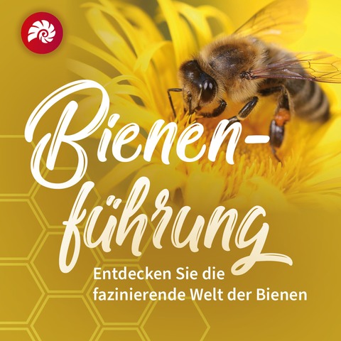 Entdecken Sie die faszinierende Welt der Bienen - Rdersdorf bei Berlin - 15.08.2025 15:00