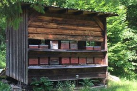 Imkertag - Simonswald - 06.07.2025 10:30