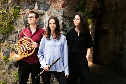 Trio Ariadne - Hildesheim - 20.02.2026 18:00