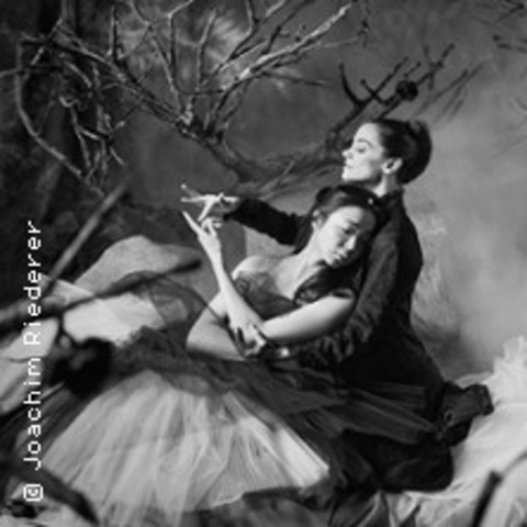 Ballett am Rhein: Dornrschen - DSSELDORF - 20.12.2025 19:30