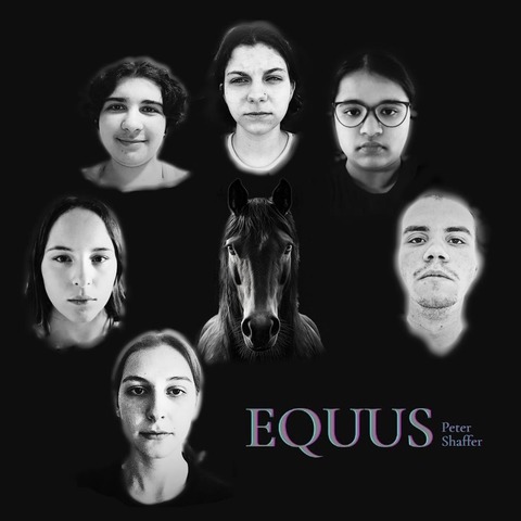 Equus, Carl-Engler-Schule Karlsruhe (ab 13 Jahren) - Schultheaterwoche - Karlsruhe - 06.07.2025 11:00