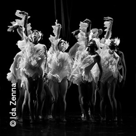 Schwanensee - Musik von Pjotr Ilitsch Tschaikowsky - Lindau - 14.03.2026 19:30