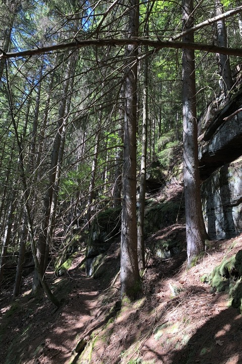 2. Globetrotter Wandertage Schwarzwald: Wanderung &#8222;Das atemberaubende Sulzkar&#8220; - Bad Wildbad - 21.09.2025 10:00