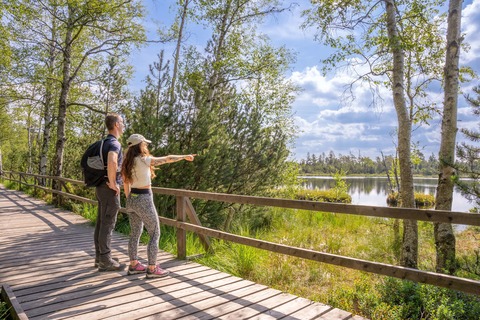 2. Globetrotter Wandertage Schwarzwald: Wanderung &#8222;Das Wildseemoor und seine Geheimnisse&#8220; - Bad Wildbad - 20.09.2025 10:30