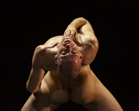 71BODIES 1DANCE - Berlin - 23.08.2025 21:00