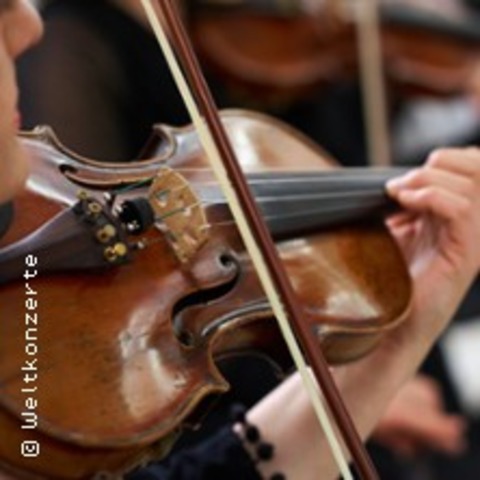 Vivaldi - Die Vier Jahreszeiten - Kammerorchester der Neuen Philharmonie Hamburg - Frankfurt am Main - 16.11.2025 18:30
