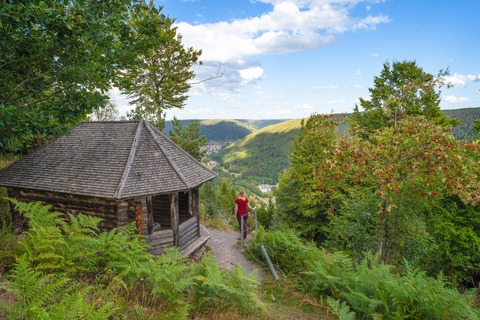 2. Globetrotter Wandertage Schwarzwald: Eine Wanderung fr Singles ber die Wetterfahnenhtte - Bad Wildbad - 20.09.2025 10:30