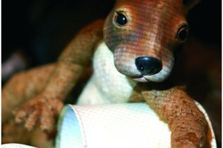 Herr Eichhorn und der erste Schnee