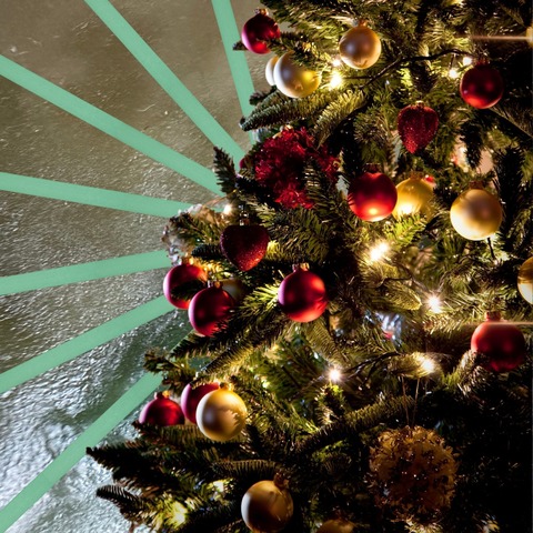 Nicht so stille Nacht - Die BT Weihnachtsrevue - Brandenburg an der Havel - 18.12.2025 19:30