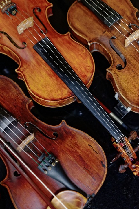 Odesa International Violin Competition 2025 - Preistrgerkonzert - Monheim am Rhein - 24.08.2025 19:30