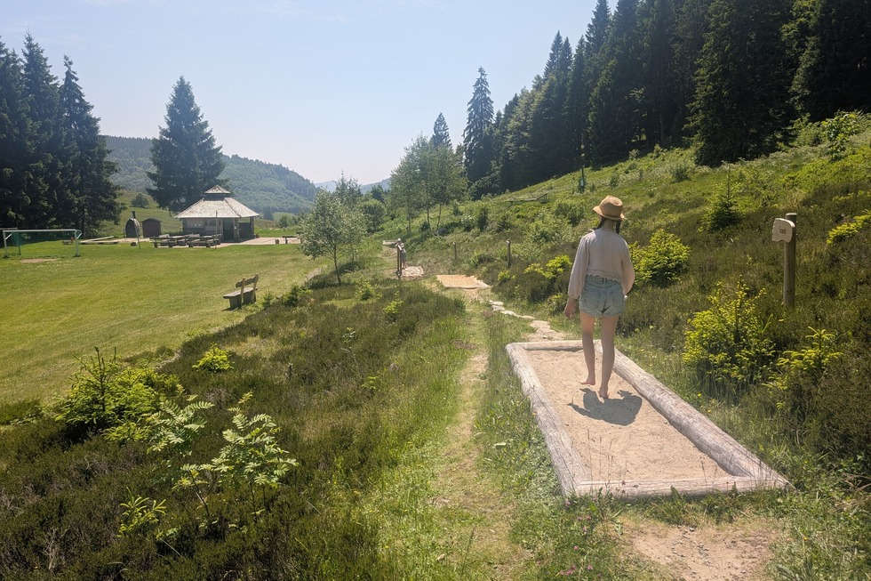 Grillplatz am Barfupfad (Muggenbrunn) - Todtnau