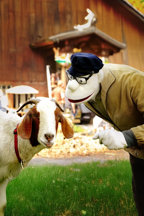 Werner Momsen - Momsen, Tiere, Sensationen - Lemwerder - 21.03.2026 20:00