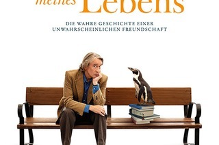 Donzdorfer Sommerkino - Der Pinguin meines Lebens