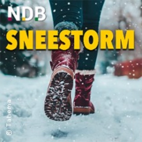 Sneestorm - FLENSBURG - 06.11.2025 19:30