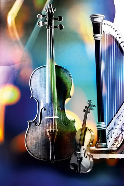 neujahrskonzert 2026 - Hildesheim - 04.01.2026 19:00