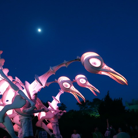 Birdmen, Close-Act (NL) - WEITBLICK Festival 2025 - Braunschweig - 20.09.2025 18:30