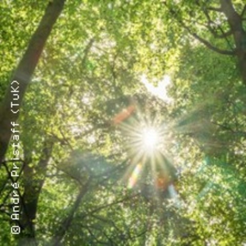 Waldbaden | Graal-Mritz - GRAAL-MRITZ - 11.09.2025 15:00