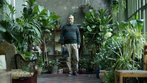 The Ballad of Wallis Island - Freiburg - 01.07.2025 20:00