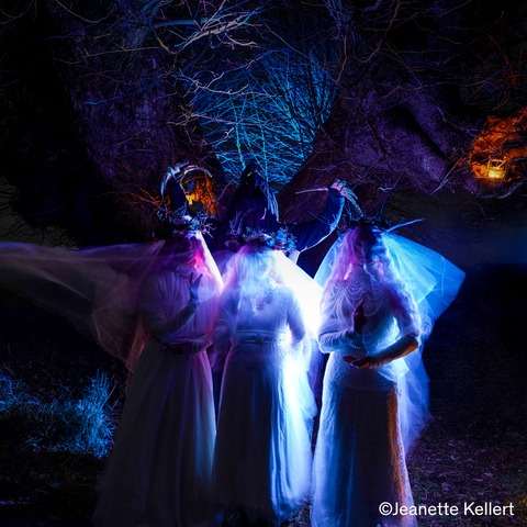 Tanzvilla Creglingen - Weikersheim - 28.02.2026 17:00