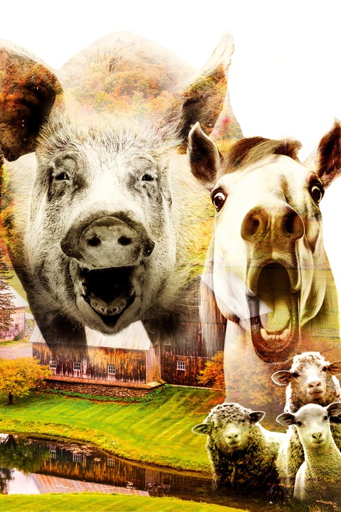 farm der tiere - das musical - punk-rock-musical von manuel de rien und oliver graf - Hildesheim - 09.06.2026 19:30