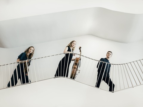 Altstadtkonzert mit dem Amelio Trio - Wangen im Allgu - 14.11.2025 20:00