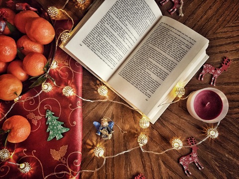 Vorfreude auf Weihnachten: Nicole Gospodarek liest die Weihnachtsgans Auguste mit illustren Zutaten - Neuzelle - 14.12.2025 15:30