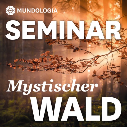 MUNDOLOGIA-Seminar: Mystische Waldfotografie - Freiburg - 31.01.2026 11:00