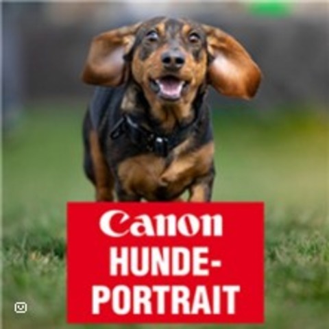 Canon Workshop Hundeportraits 12.07.2025 - Sebastian Schweinstig I Canon Academy - Freiburg - 12.07.2025 11:00