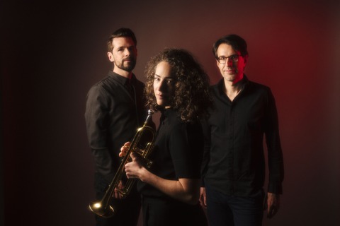 Jazzpassage: Das Kapital und Besson/Sternal/Burgwinkel Trio - Offenburg - 13.11.2025 20:30