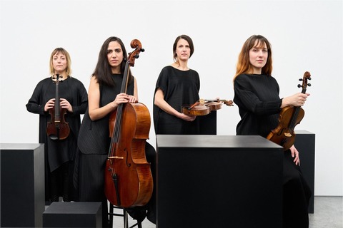 Quatuor Zade - Lohne - 22.11.2025 20:00