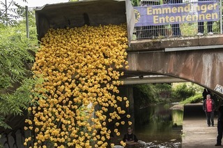 Der Lion Club Emmendingen veranstaltet sein traditionelles Entenrennen auf dem Brettenbach