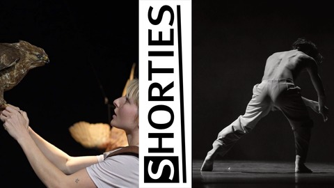Shorties #21 - Stuttgart - 16.12.2025 19:30