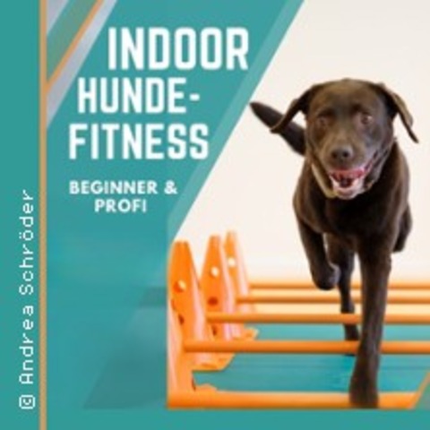 Fitness- / REHA Sport fr Hunde - BNDE - 27.08.2025 18:00