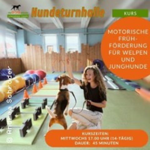 Frhfrderung fr Welpen und Junghunde - BNDE - 26.11.2025 17:00