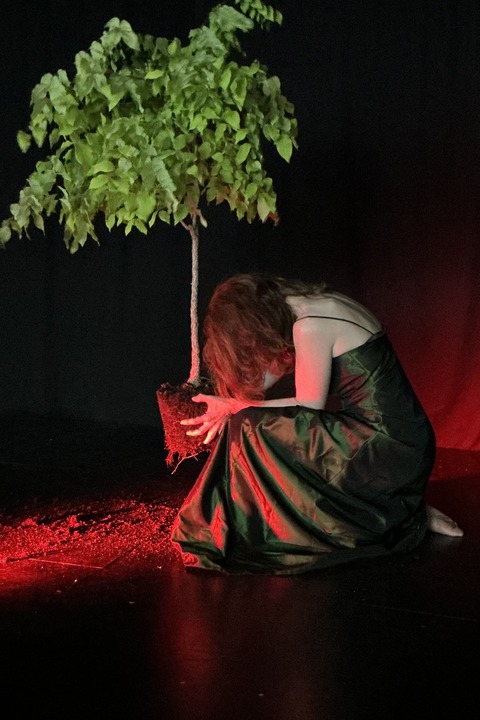 Die Schutzbefohlenen - Premiere - Weienburg in Bayern - 14.11.2025 20:00