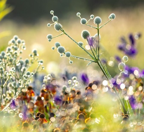 Der Foto-Workshop im Juli - Weil am Rhein - 04.07.2026 16:00