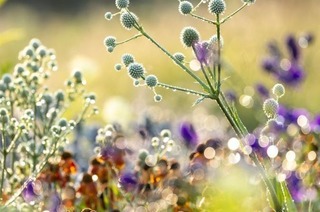 Der Foto-Workshop im Oktober