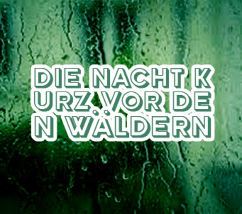 Die Nacht kurz vor den Wldern - Wasserburg am Inn - 24.01.2026 20:00