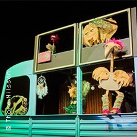 Luzies Lichterfest - SCHLESWIG - 11.01.2026 11:00