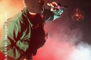 Waving The Guns - Im Zenit Tour