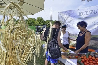 Drei Tage Agrikulturfestival im Eschholzpark