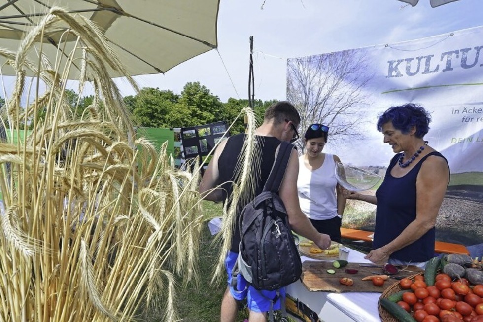 Drei Tage Agrikulturfestival im Eschholzpark - Badische Zeitung TICKET