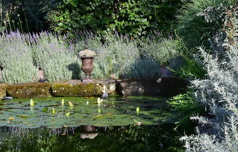Garten geffnet - Herbolzheim - 11.07.2025 15:00