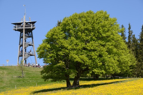 Biosphrentag an der Bergstation - Horben - 11.07.2025 12:00