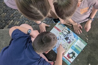Schafstour