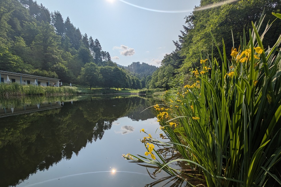 Naturbad Sulzburg - Sulzburg