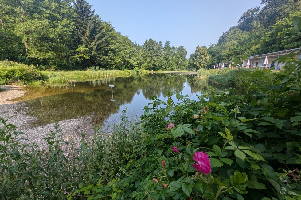Naturbad Sulzburg - Sulzburg